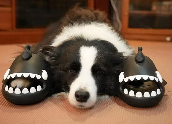 Превратите свои ноги в самые привлекательные для людей с нашими тапочками!